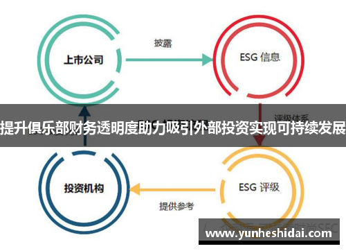 提升俱乐部财务透明度助力吸引外部投资实现可持续发展