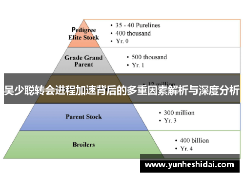 吴少聪转会进程加速背后的多重因素解析与深度分析