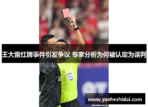 王大雷红牌事件引发争议 专家分析为何被认定为误判