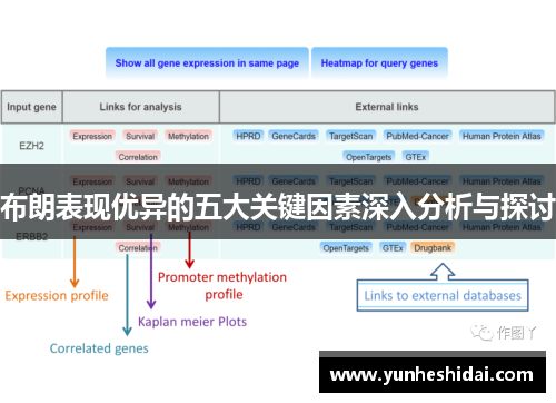 布朗表现优异的五大关键因素深入分析与探讨